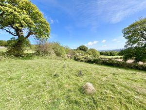 Photo 39- click for photo gallery